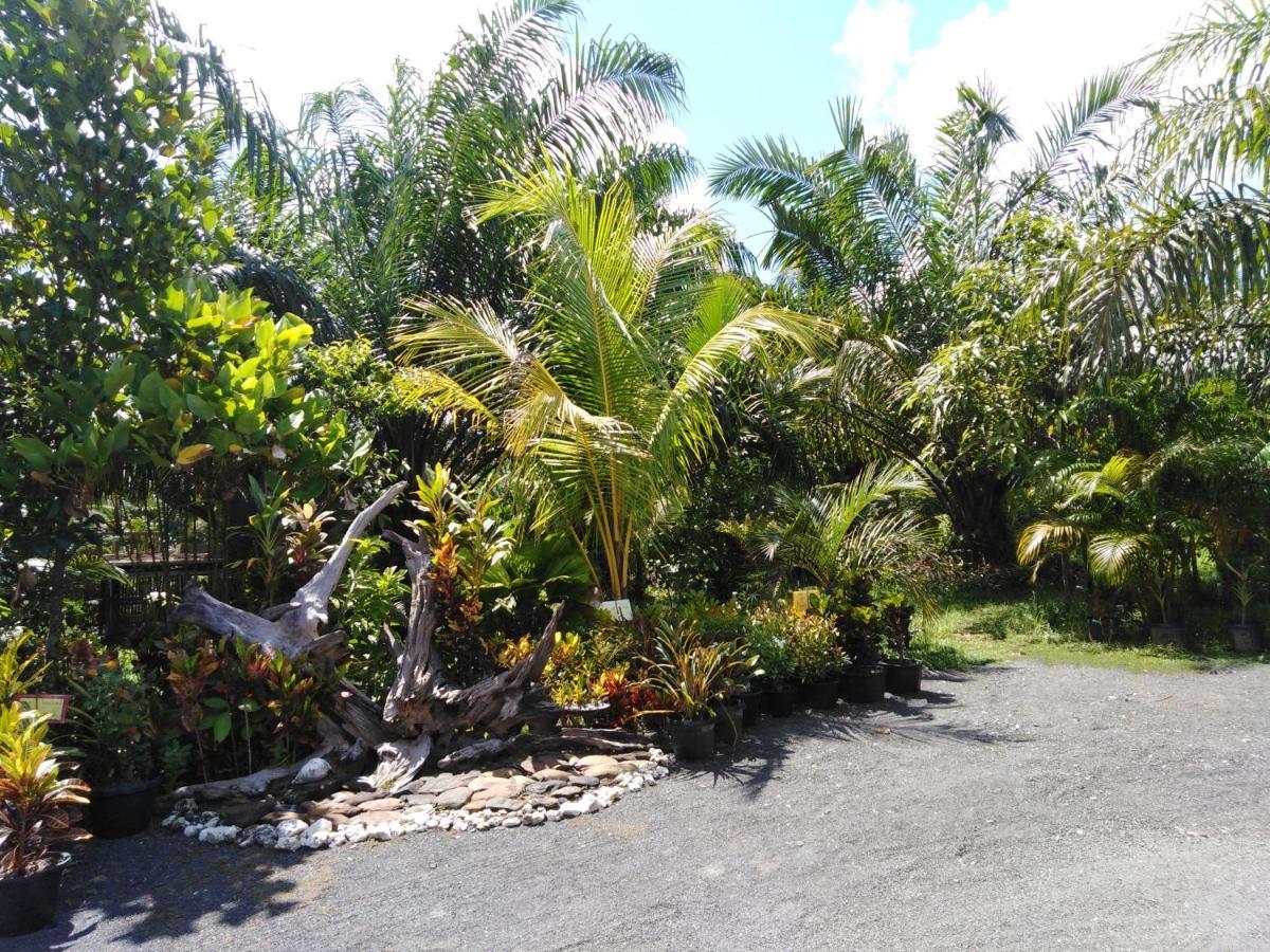 Krasom Homestay Phang Nga Εξωτερικό φωτογραφία