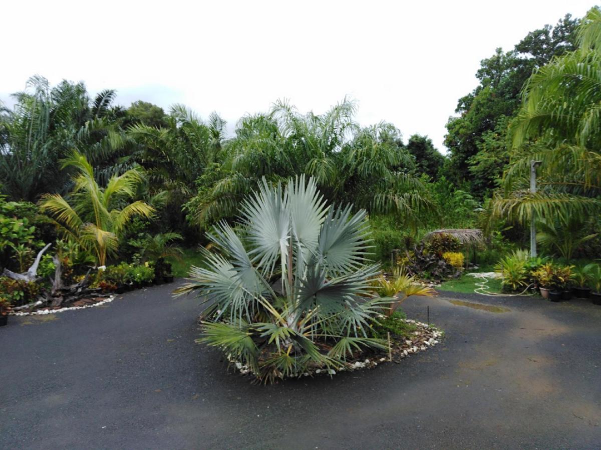 Krasom Homestay Phang Nga Εξωτερικό φωτογραφία