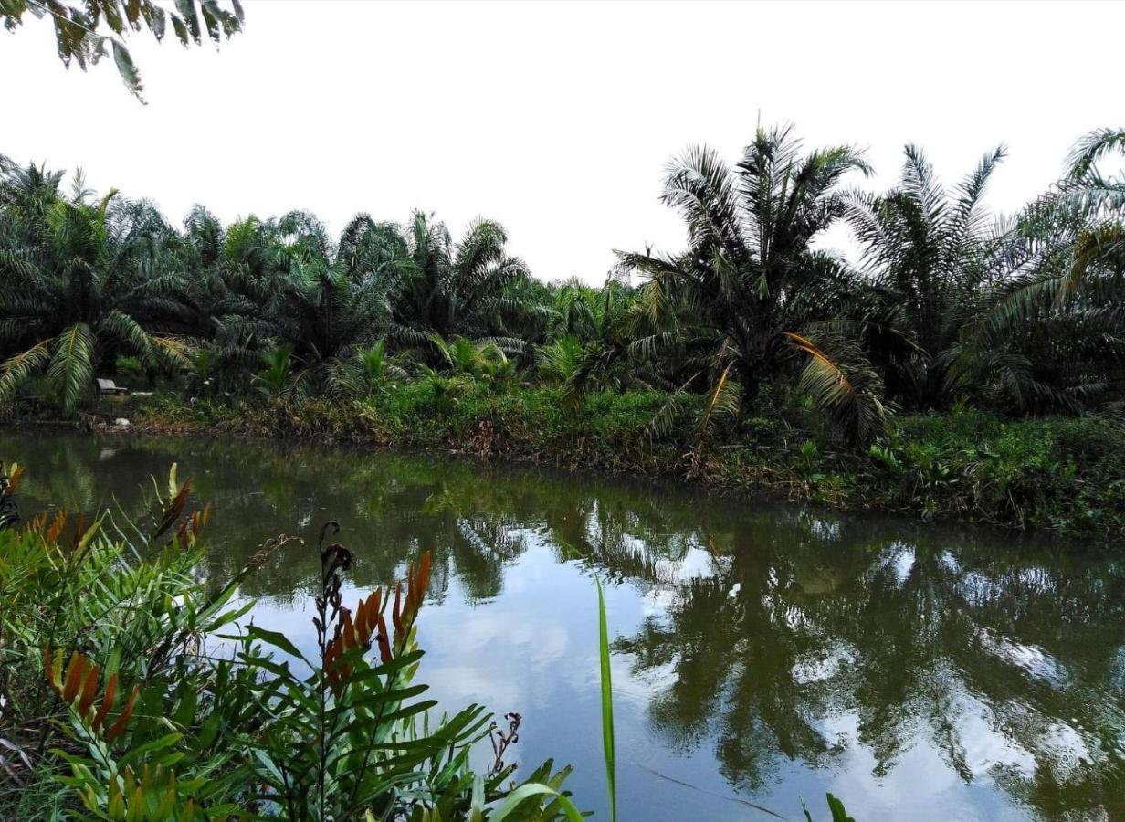 Krasom Homestay Phang Nga Εξωτερικό φωτογραφία