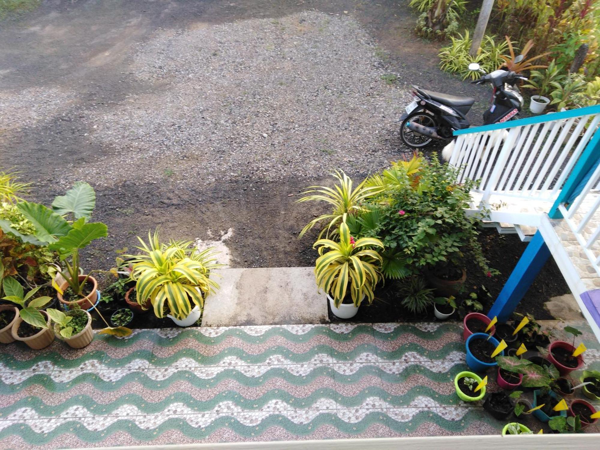 Krasom Homestay Phang Nga Δωμάτιο φωτογραφία